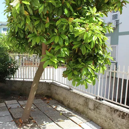 Ida's House * פורמיה